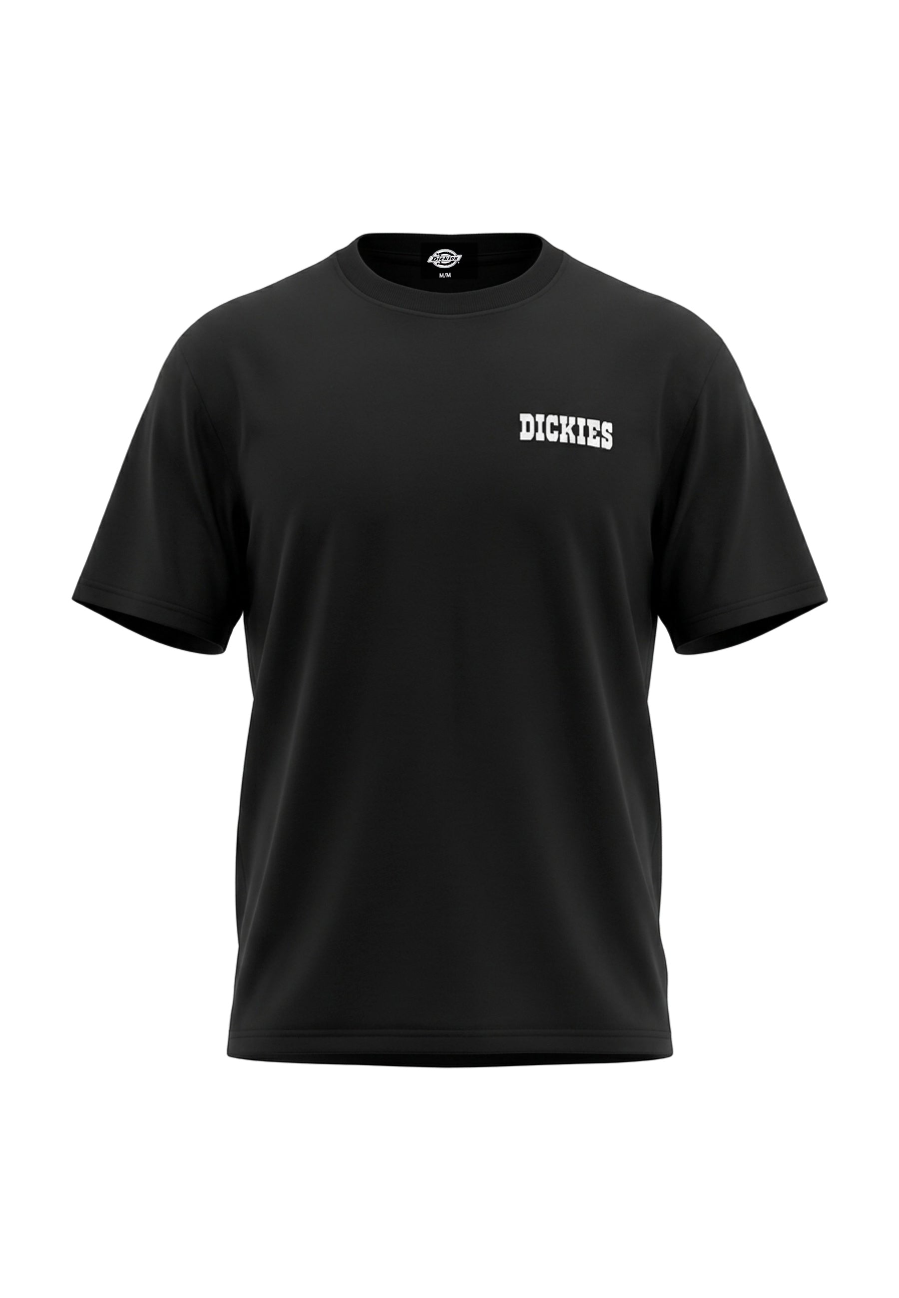 Dickies Plain City T-shirt Uomo | DK0A88JI
