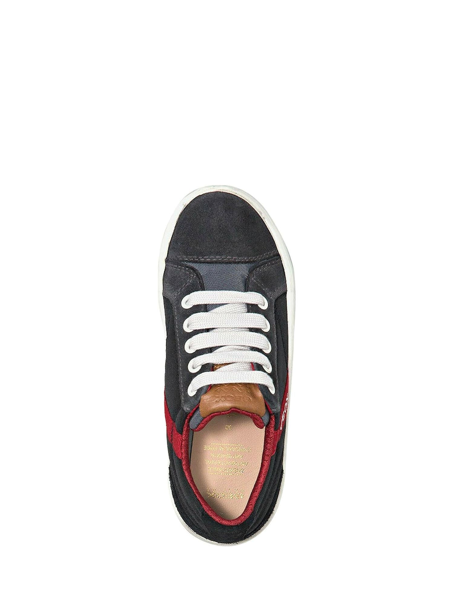 Sneakers Grigio Geox