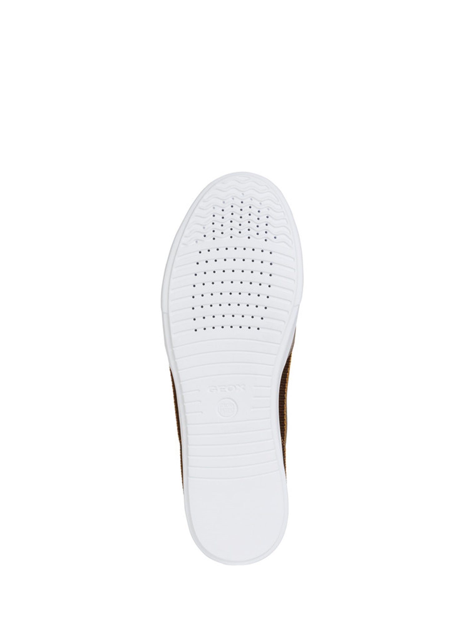 Sneakers Marrone Geox