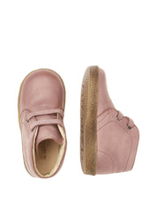 Polacchino -- Falcotto