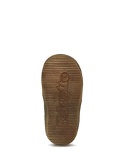 Polacchino -- Falcotto