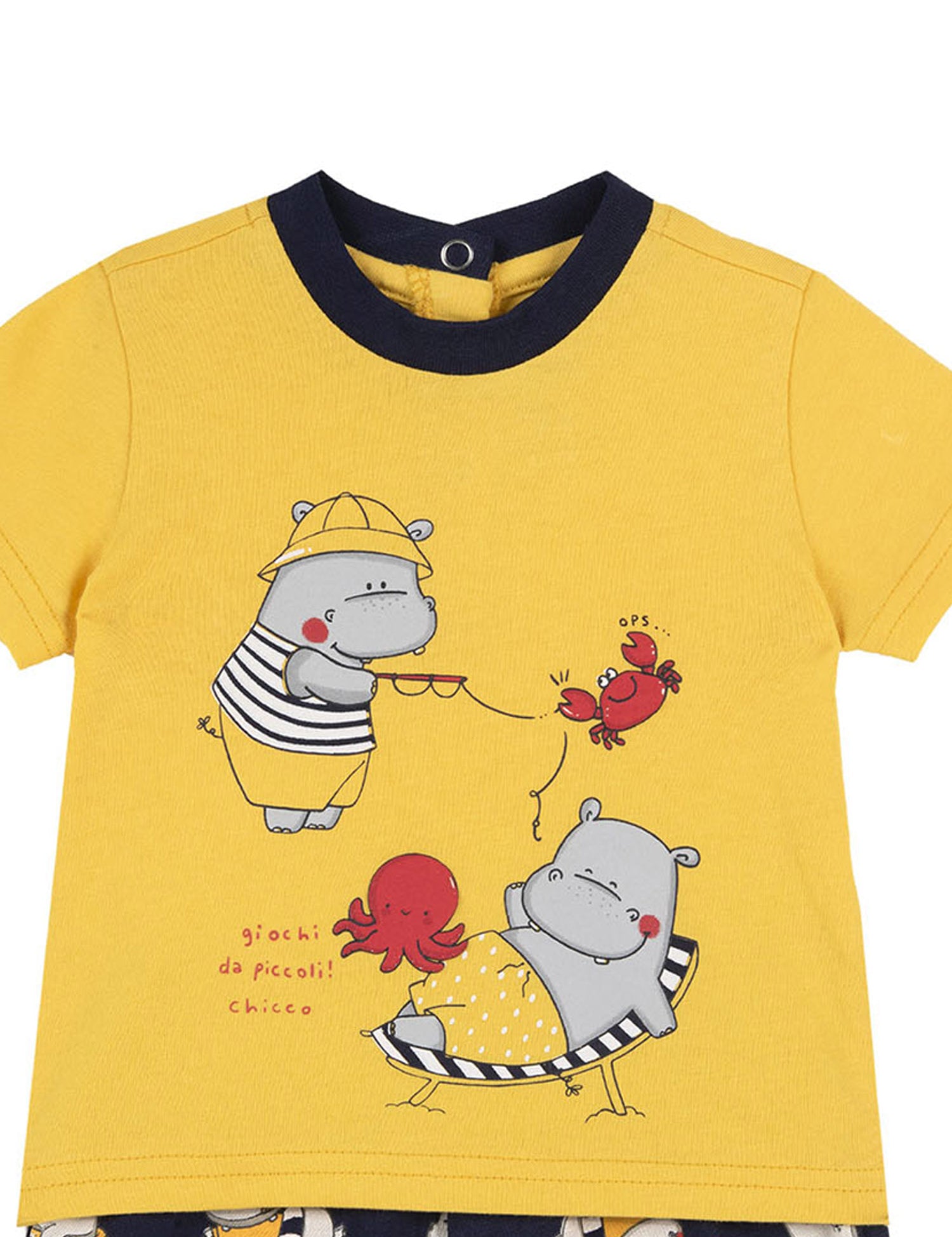 Completi Giallo Chicco