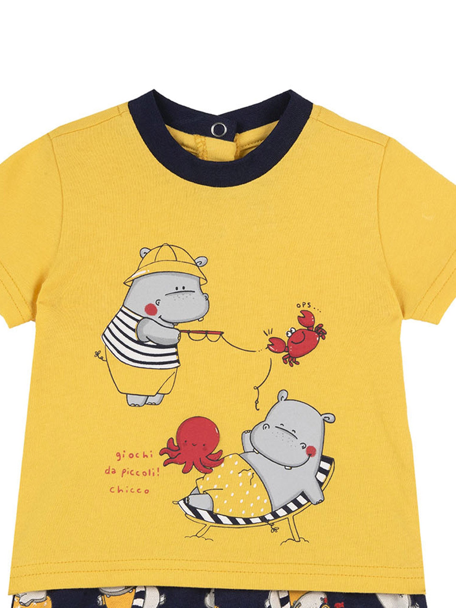 Completi Giallo Chicco