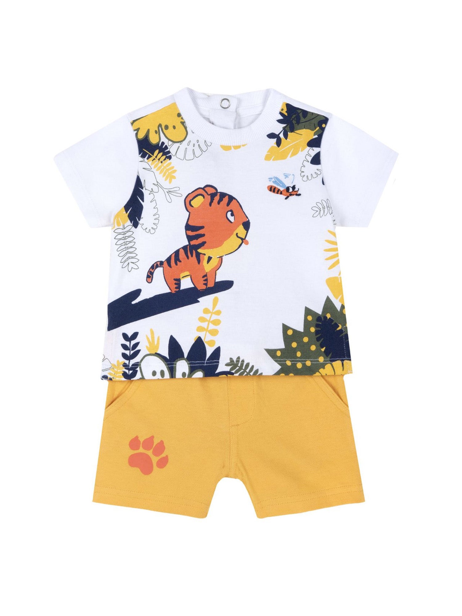 Completi Giallo Chicco