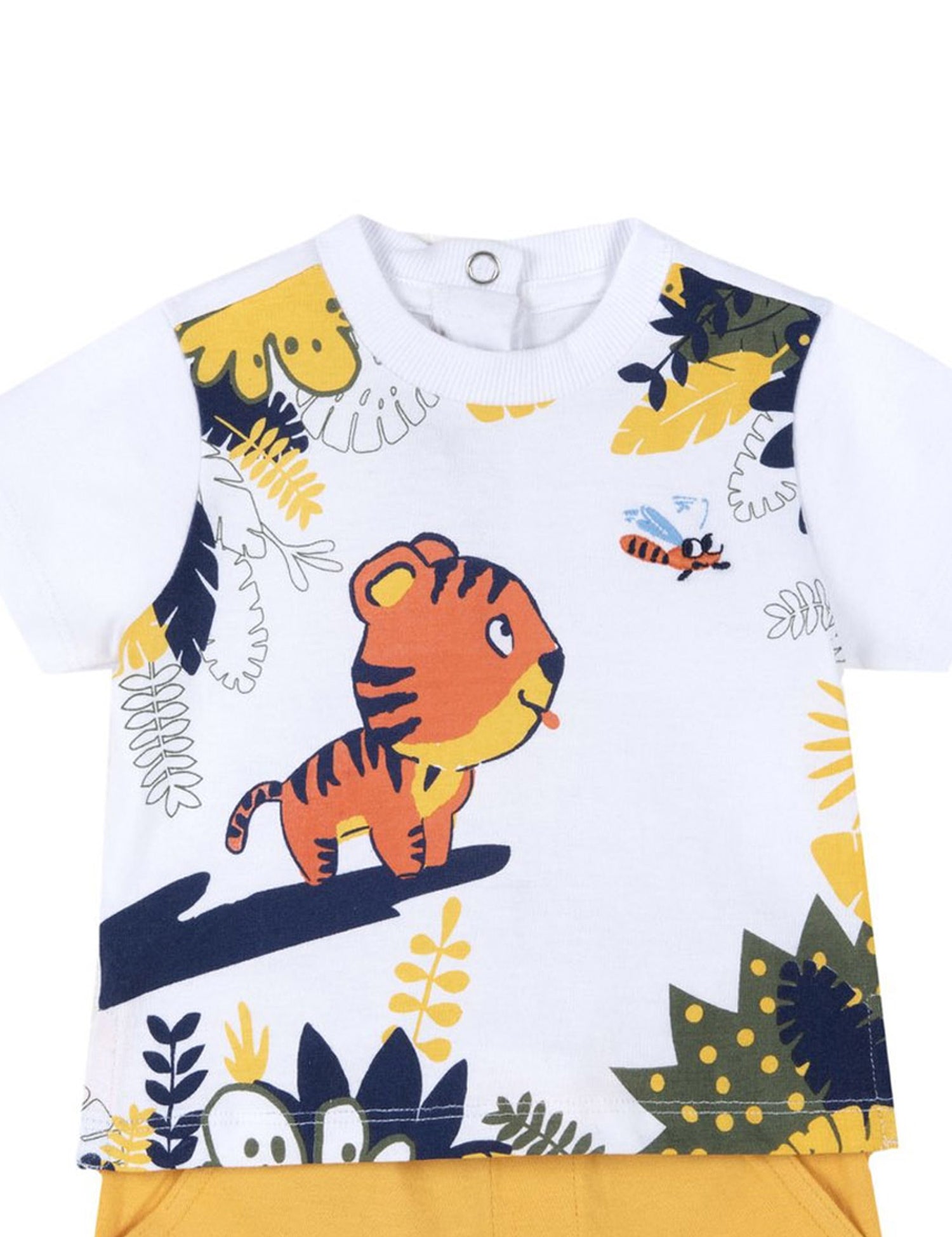 Completi Giallo Chicco