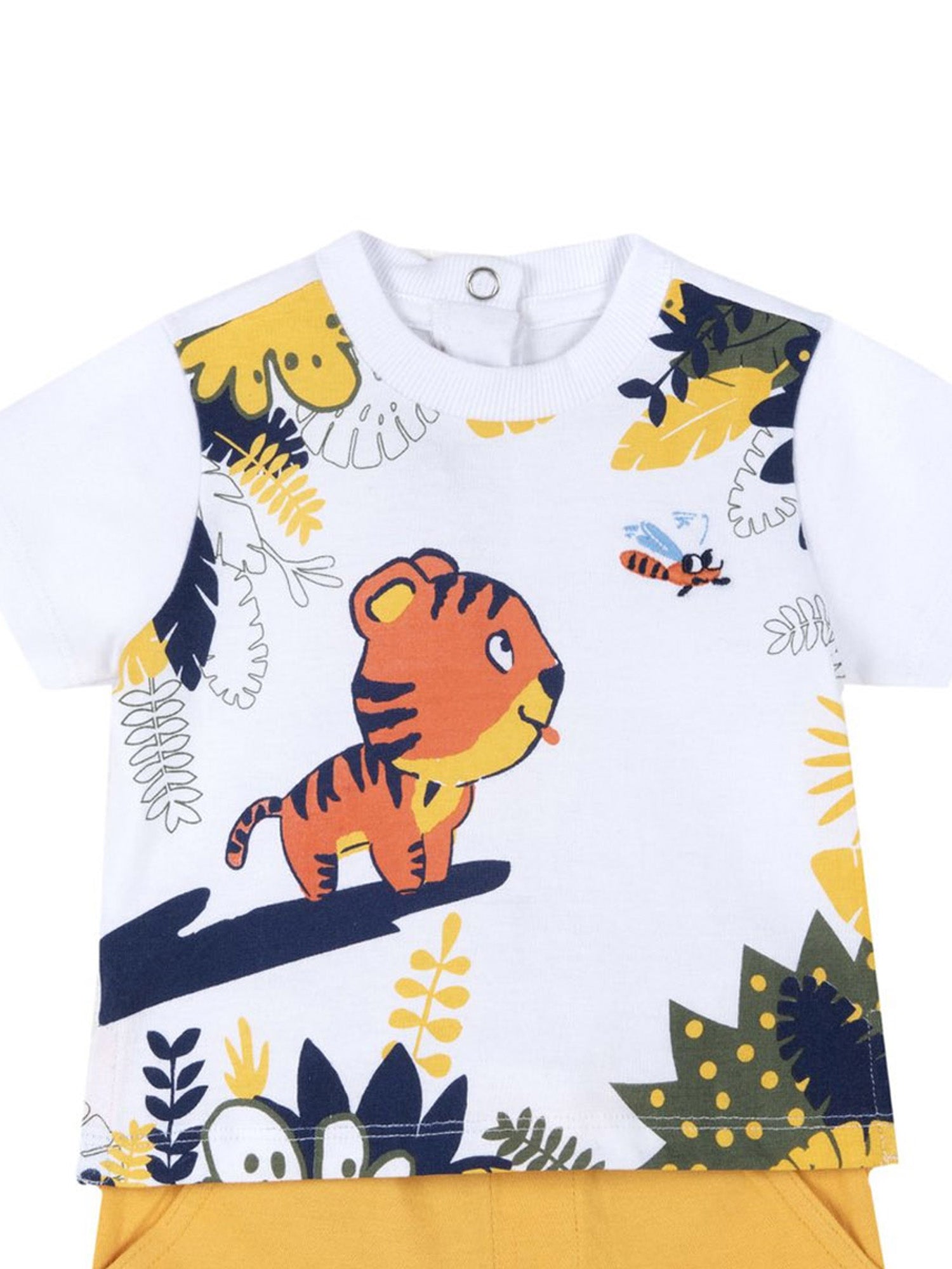 Completi Giallo Chicco