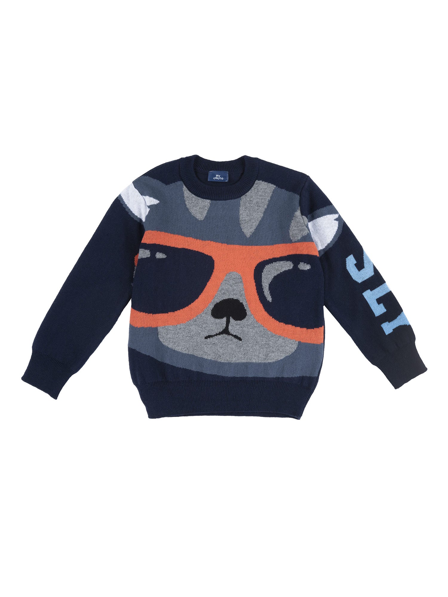 Maglioncini Blu Chicco