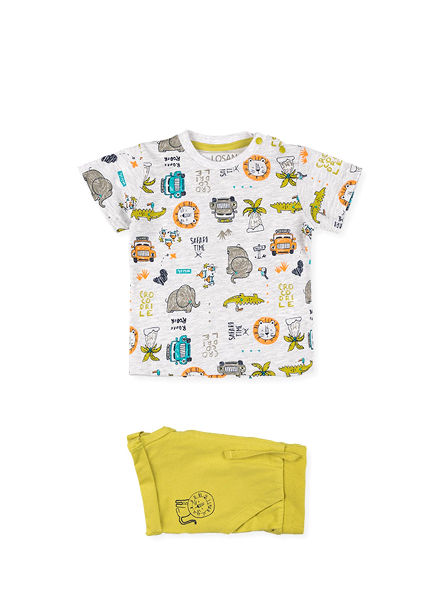 Completi Verde Losan