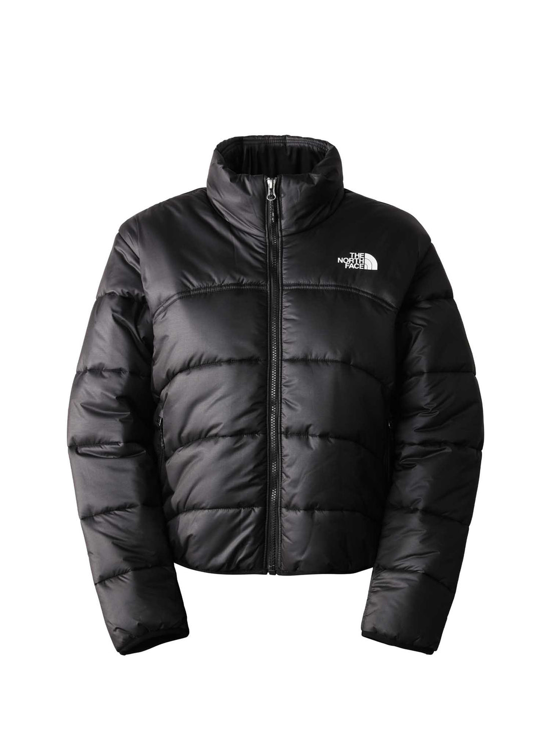 Piumini Nero The North Face