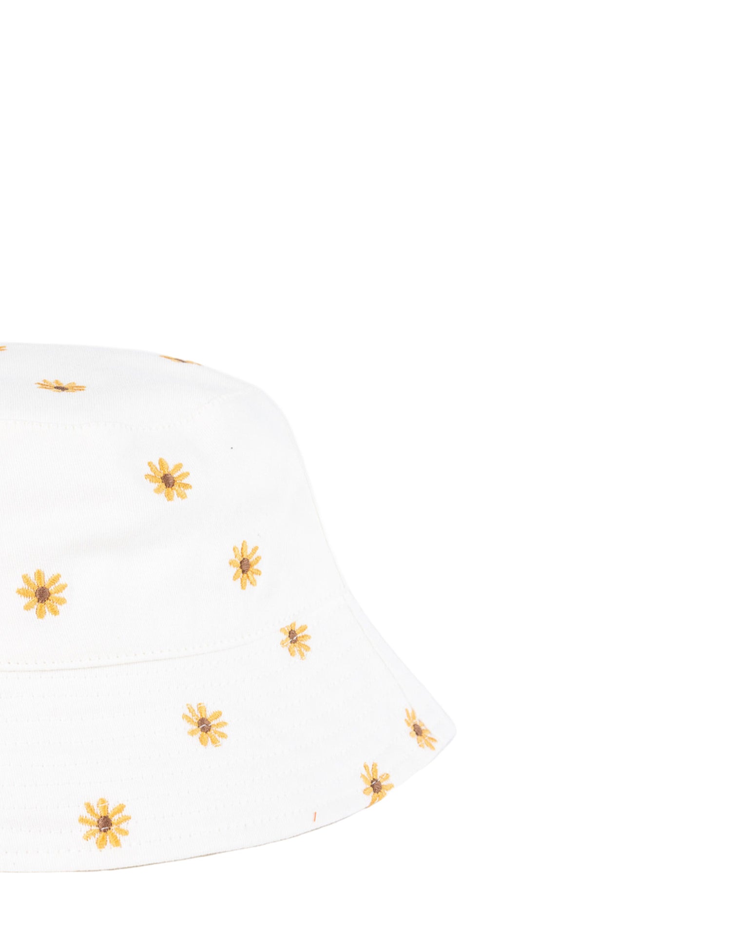 Cappelli Bianco Losan