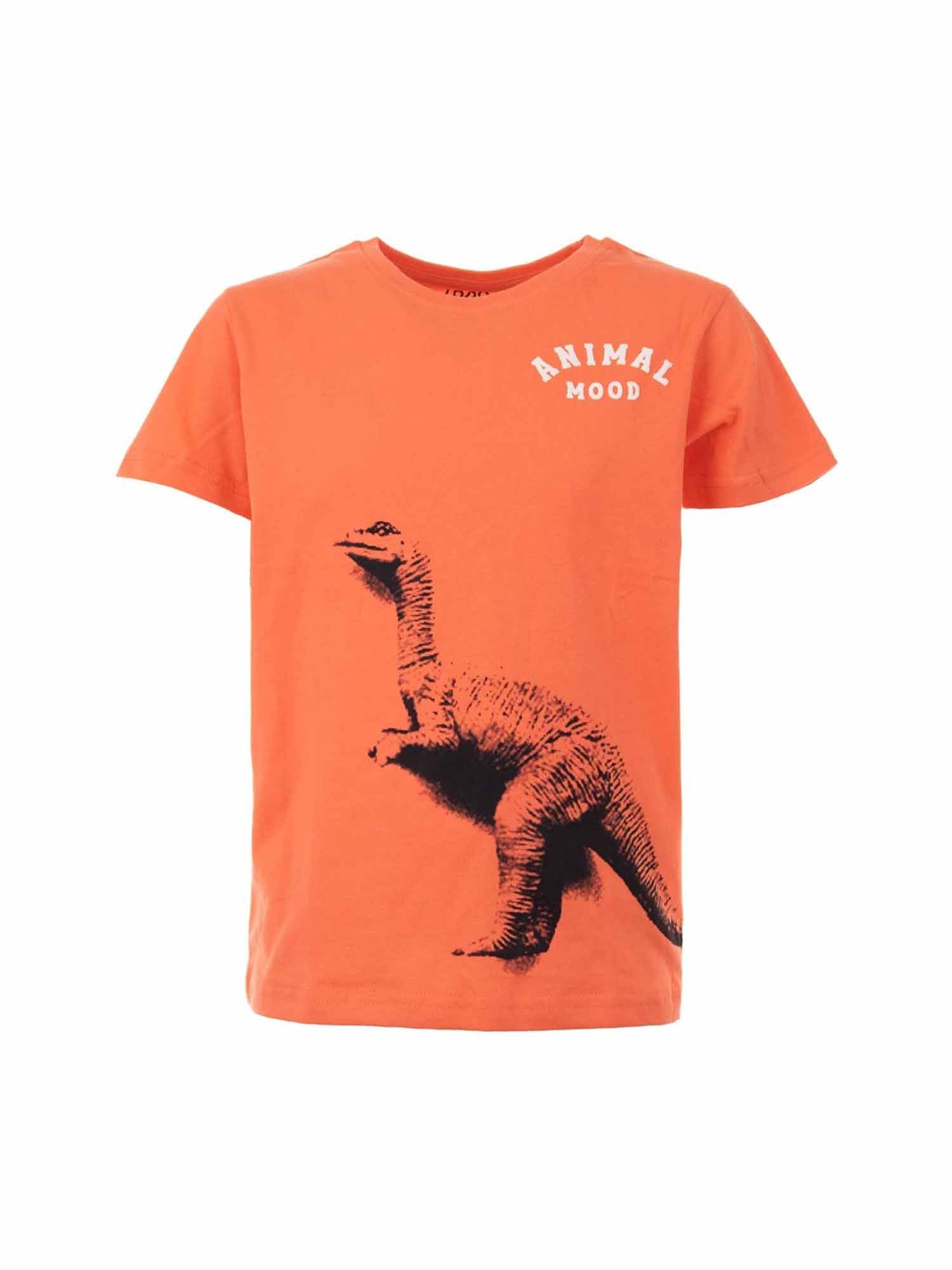 T-shirt Arancio Losan