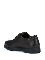 Scarpe lacci Marrone Geox