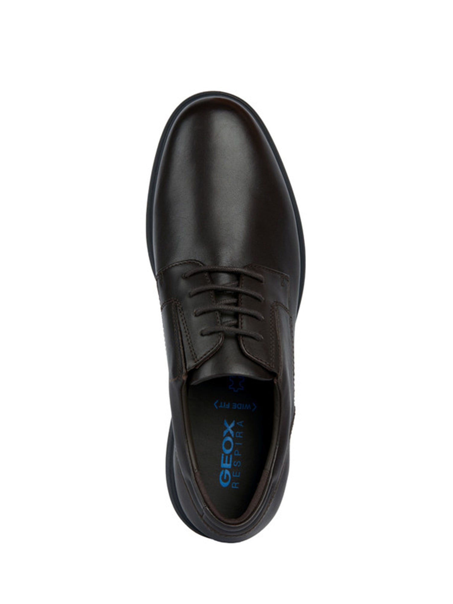 Scarpe lacci Marrone Geox