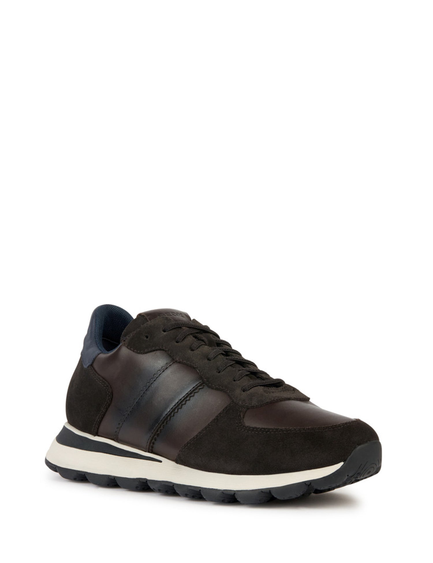 Sneakers Marrone Geox