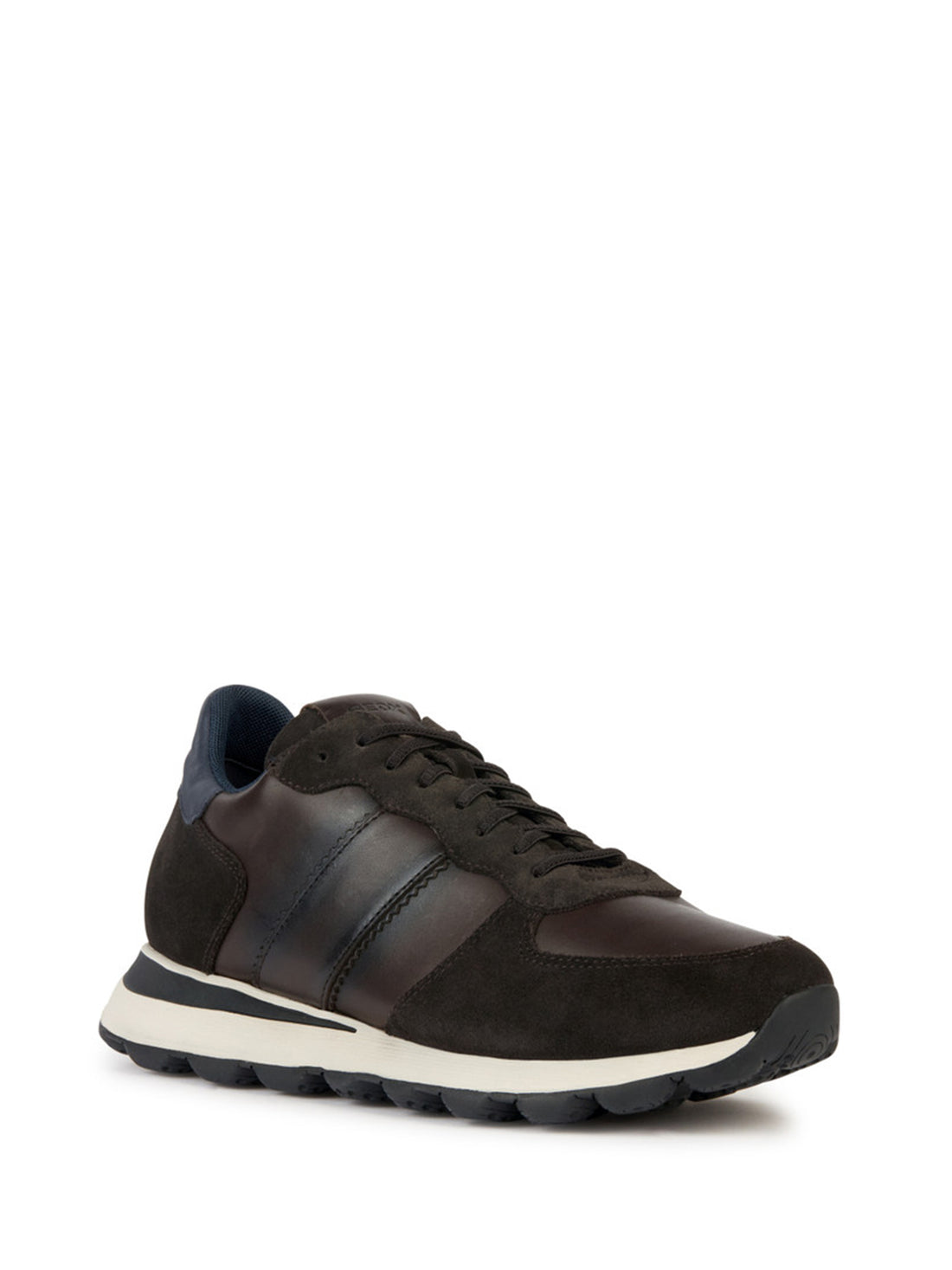 Sneakers Marrone Geox