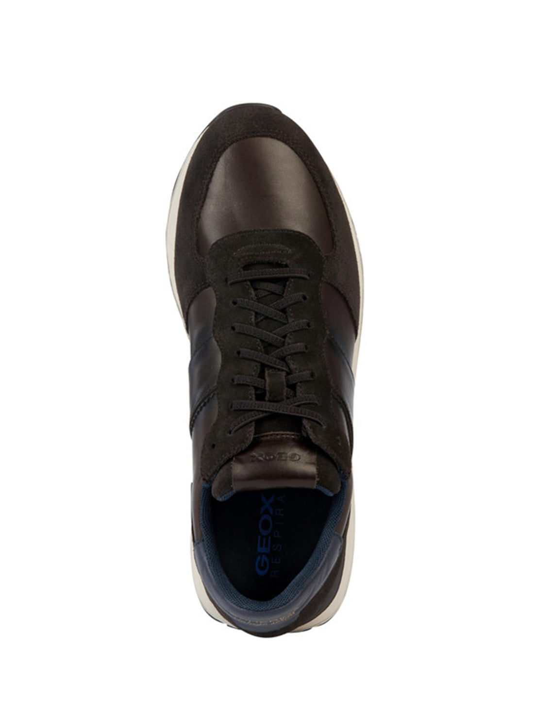 Sneakers Marrone Geox