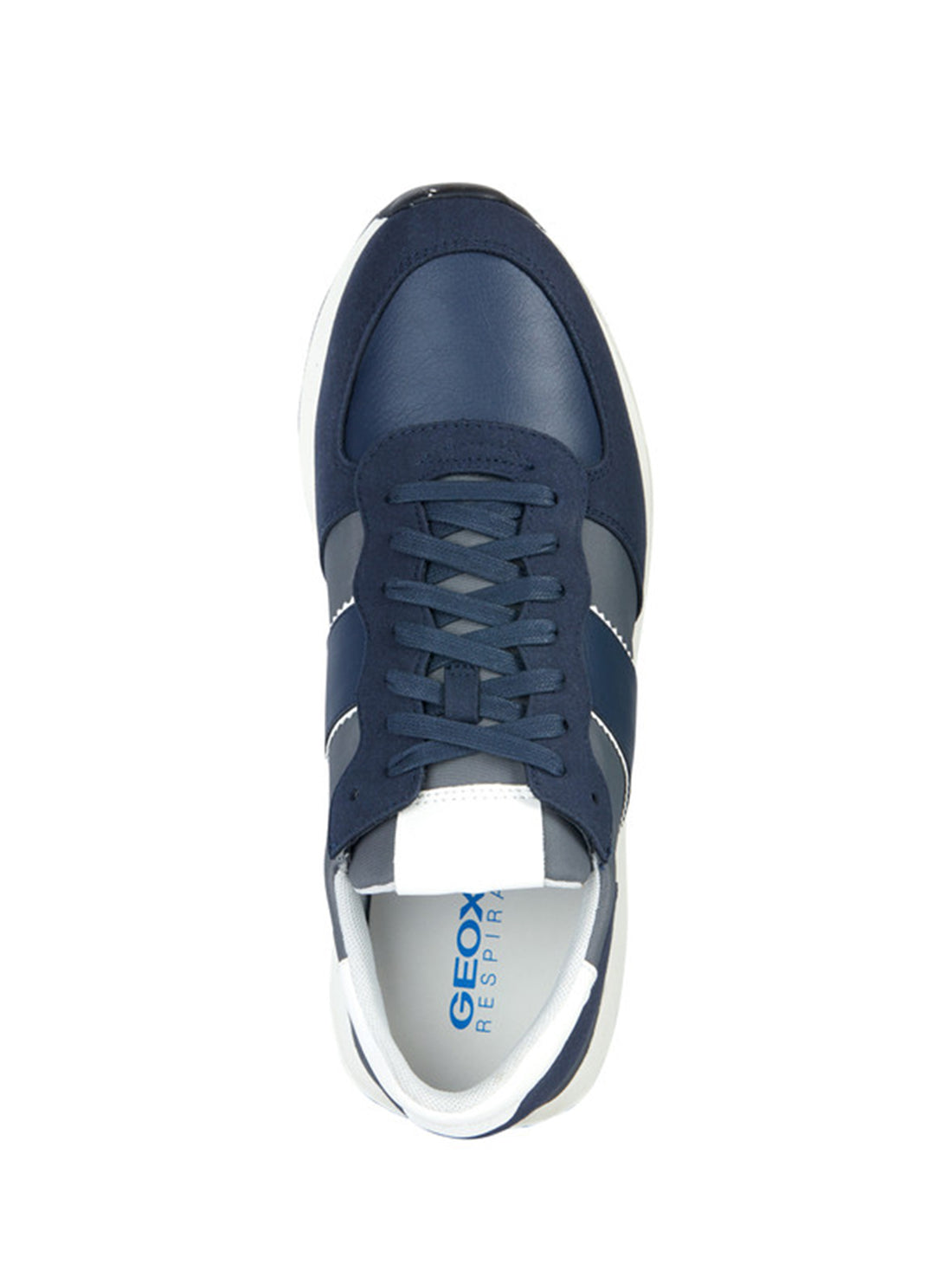 Sneakers Blu Geox