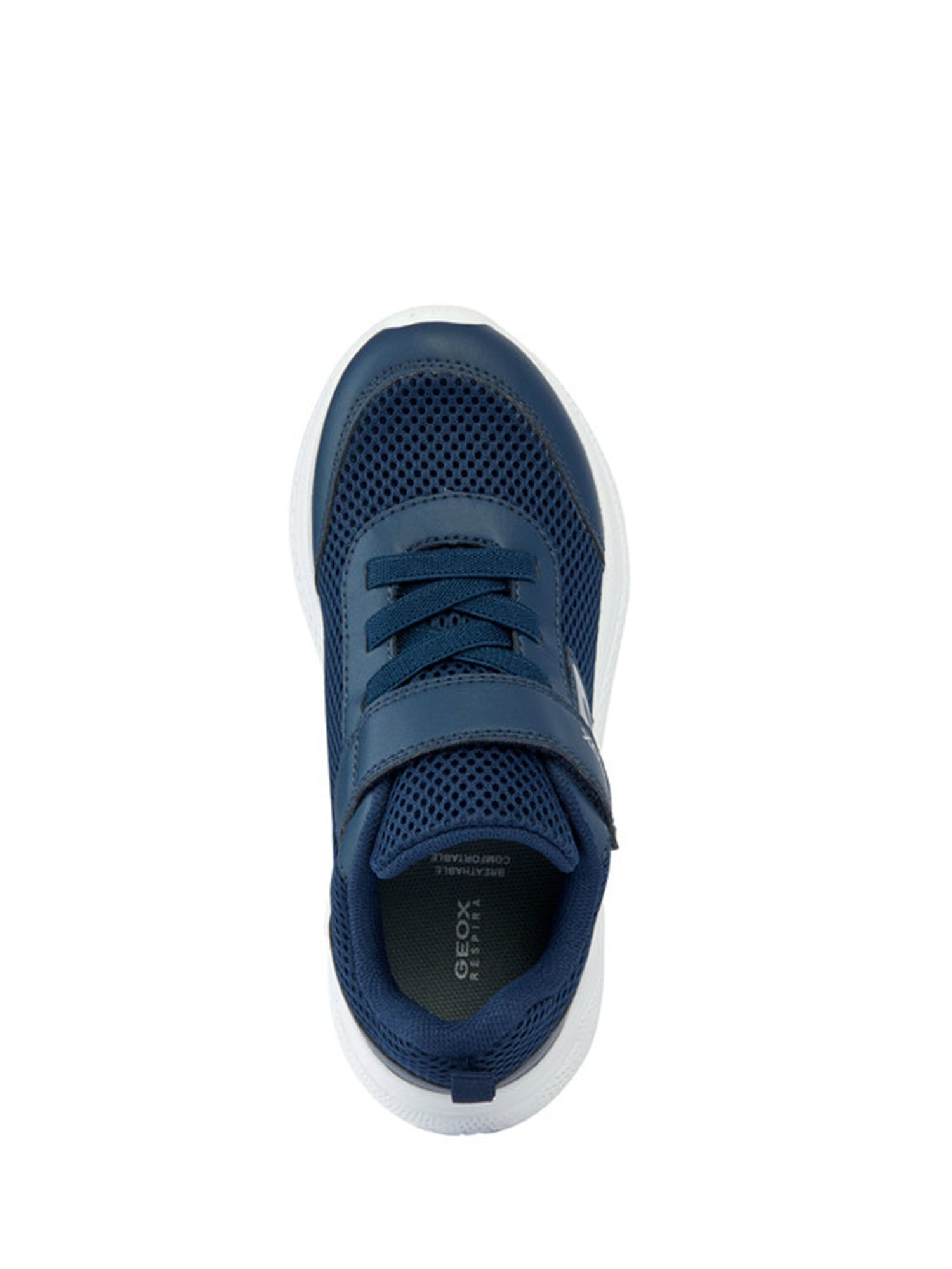 Sneakers Blu Geox