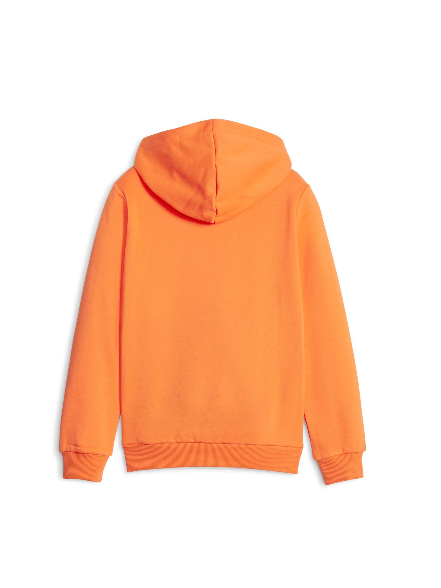 Felpe Arancio Puma