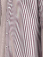 Camicie Bordeaux Tommy Hilfiger