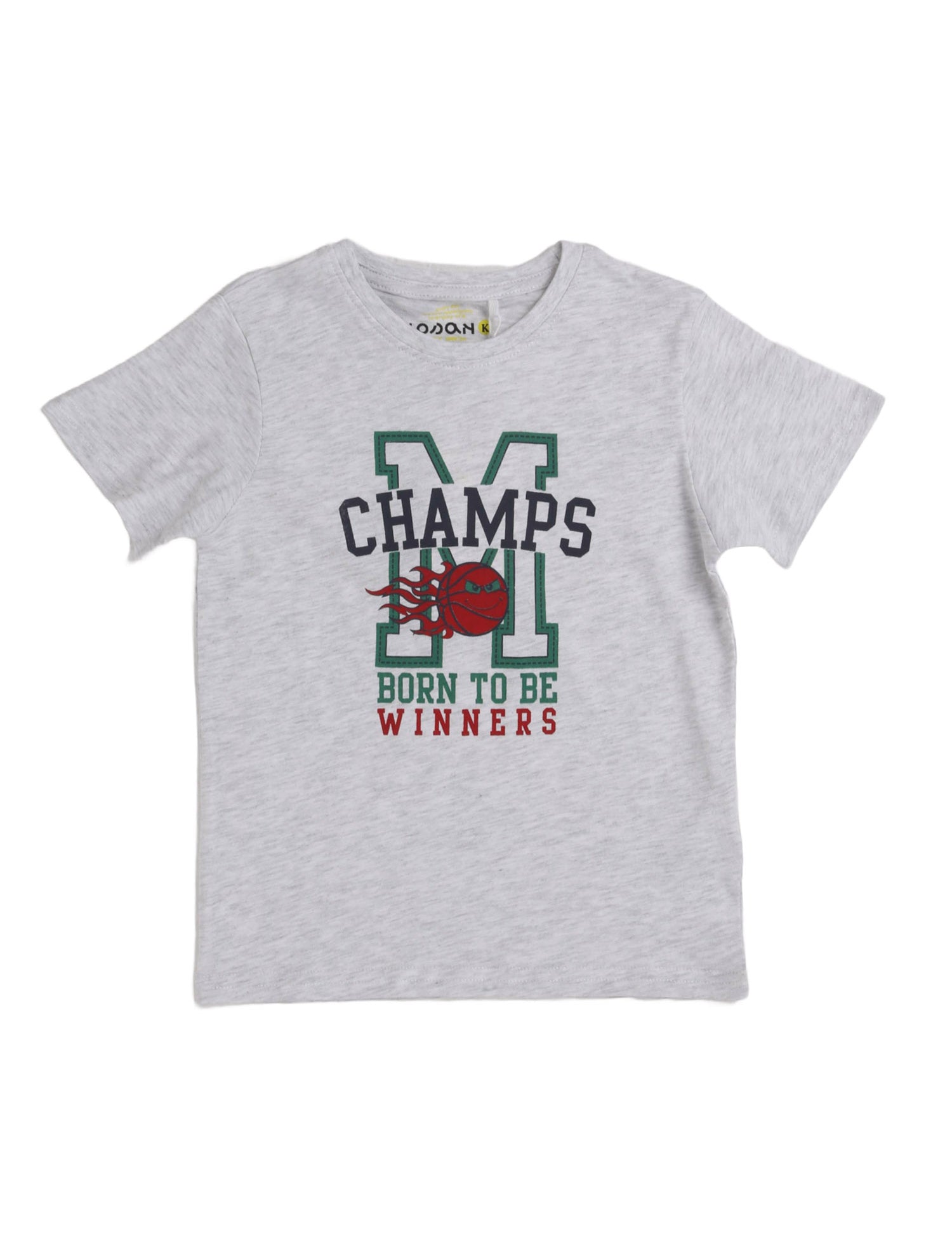 T-shirt Grigio Losan