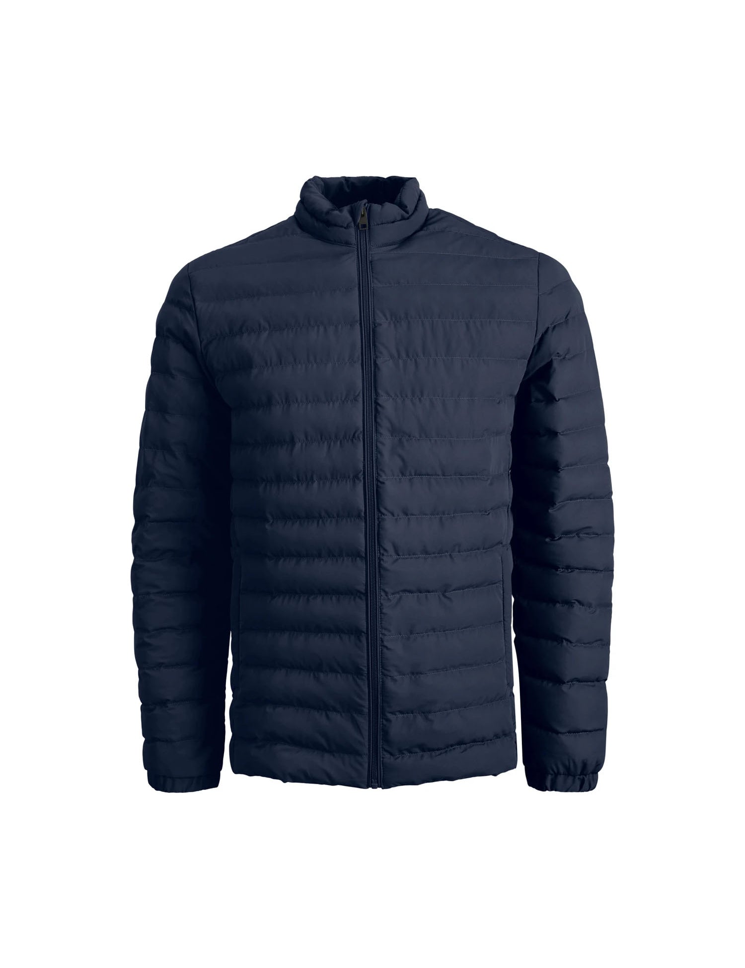 Piumini Blu Jack&jones