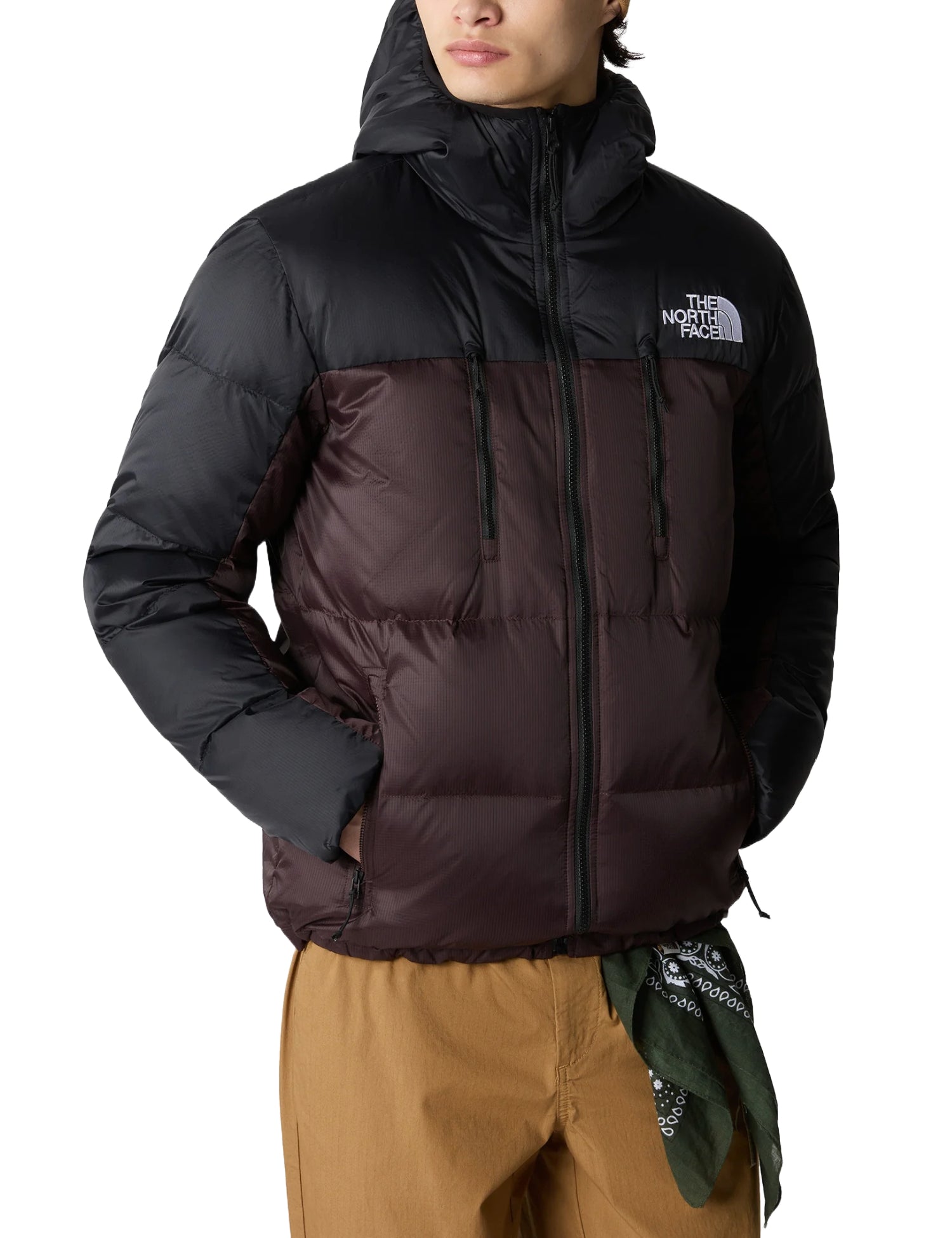 Piumini Marrone The North Face