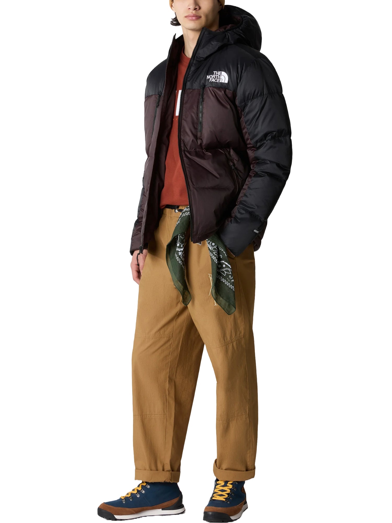 Piumini Marrone The North Face