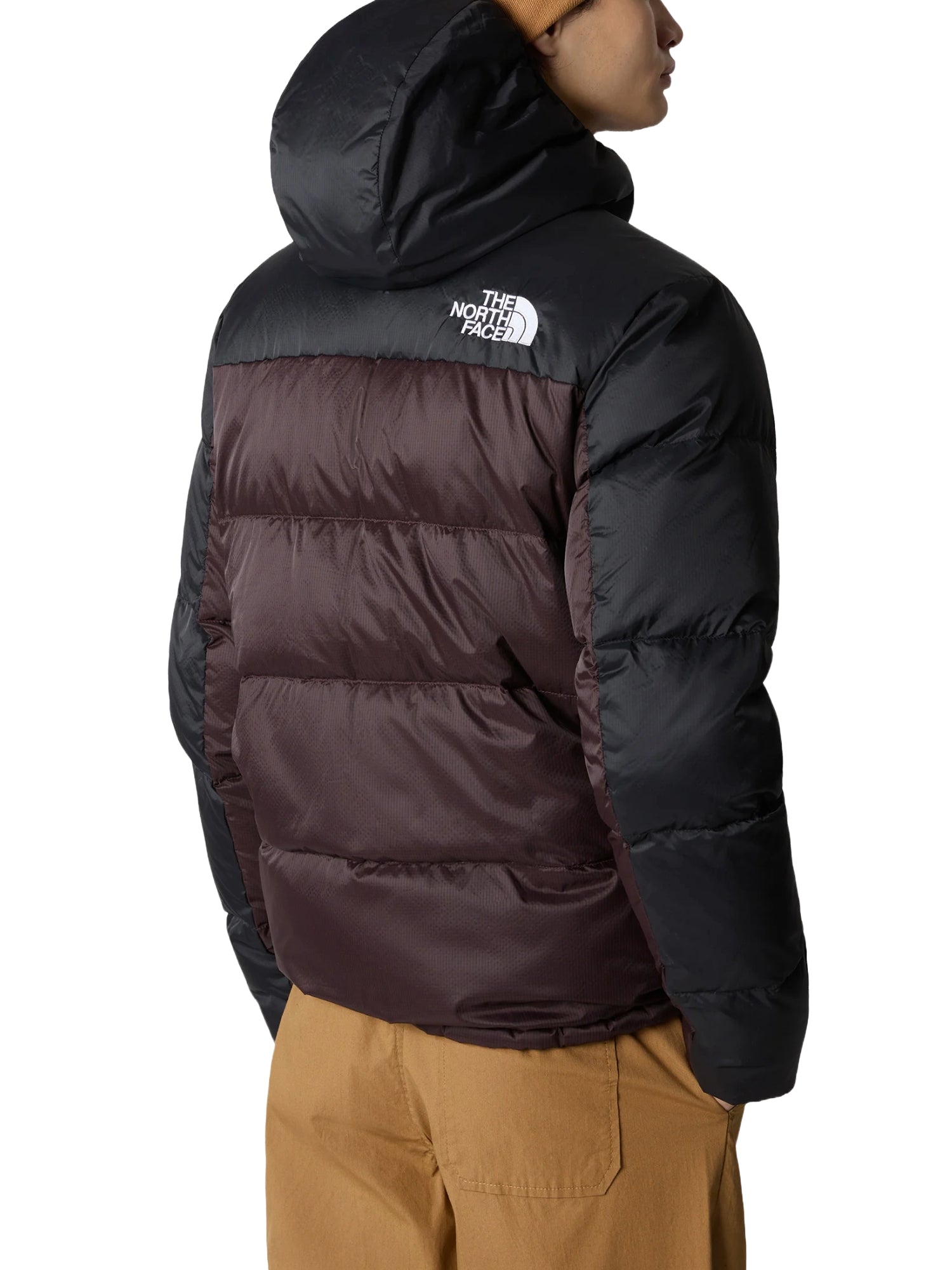 Piumini Marrone The North Face