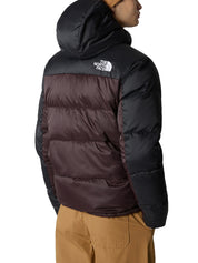 Piumini Marrone The North Face