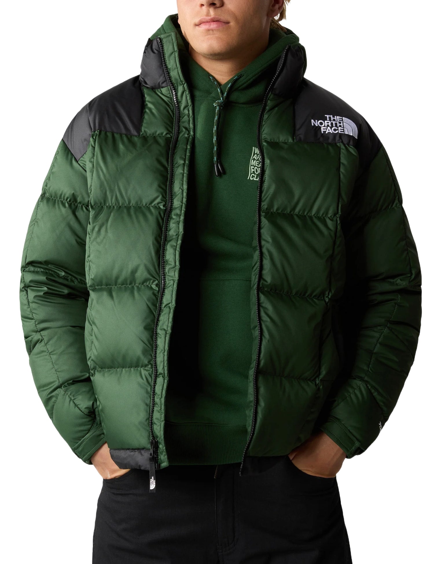 Piumini Verde The North Face