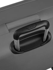 Trolley medio Grigio Roncato