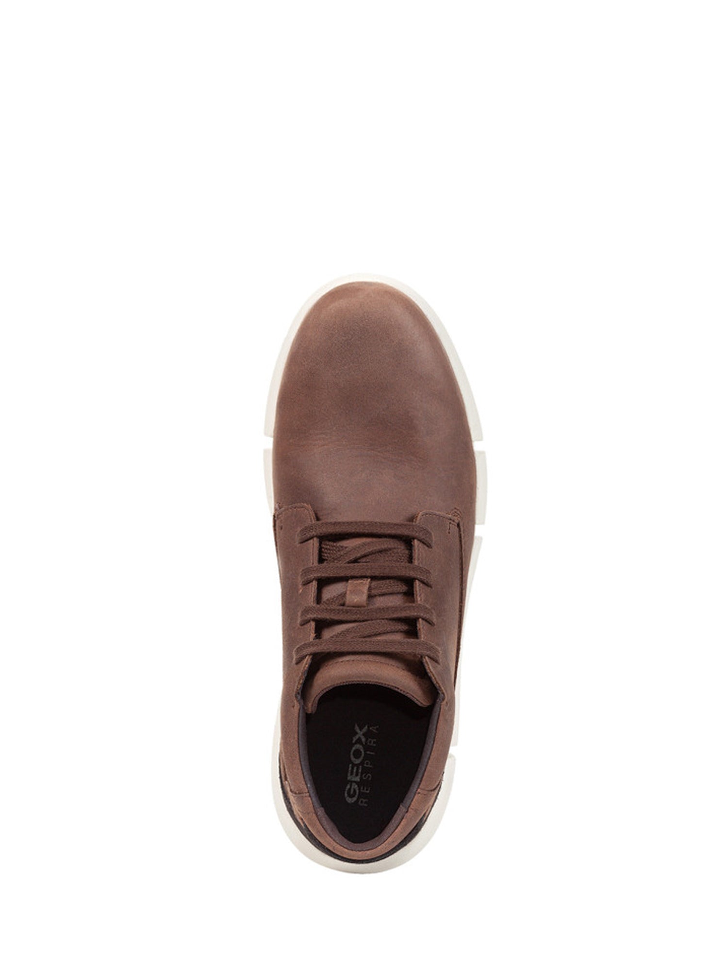 Anfibi Marrone Geox