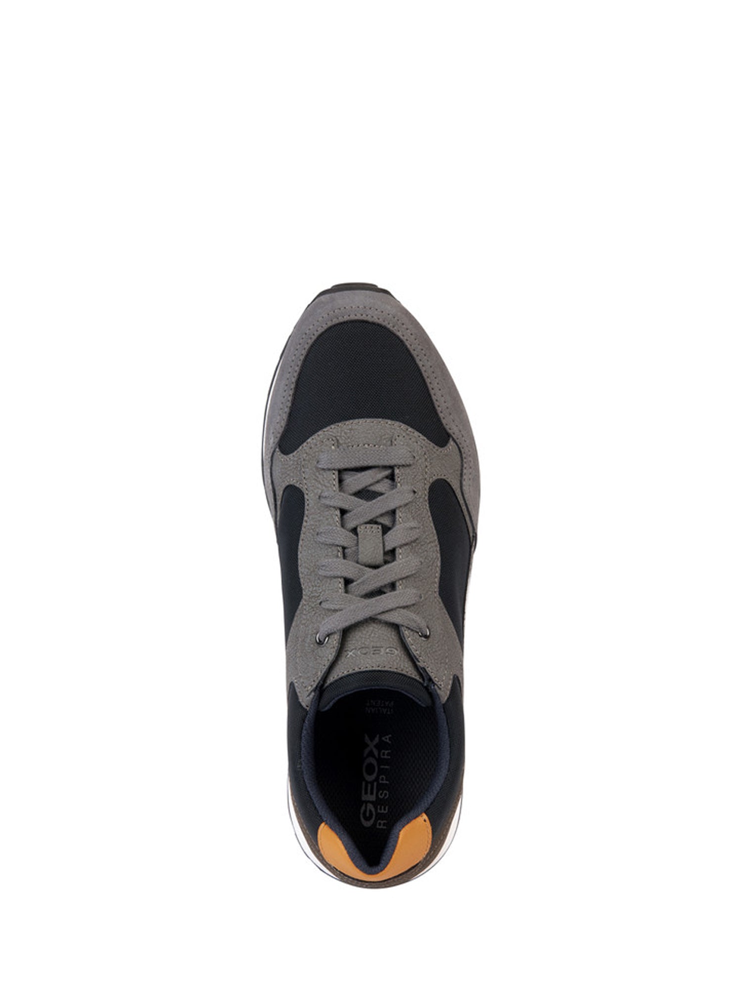 Sneakers Grigio Geox