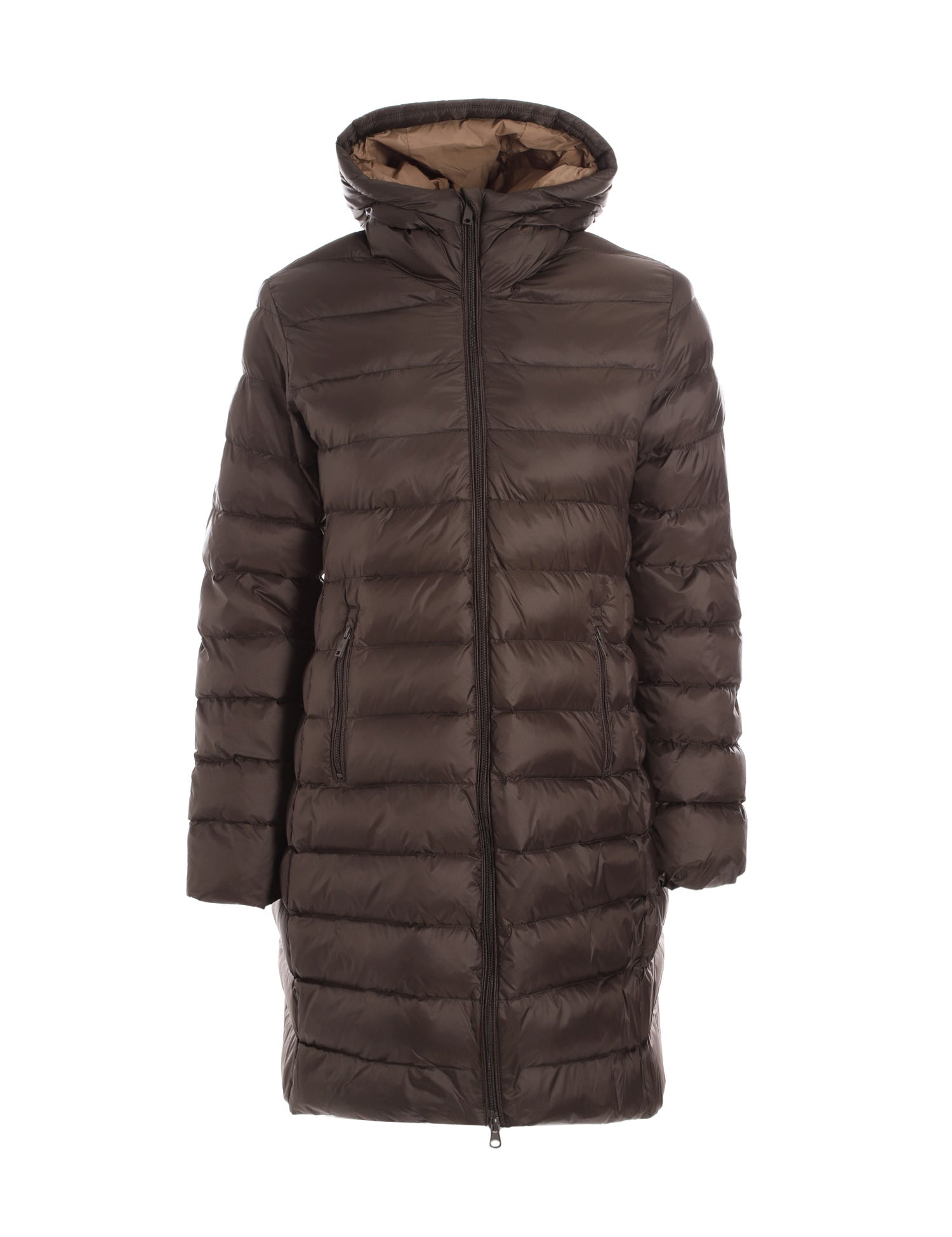 Piumini Marrone Conte Of Florence