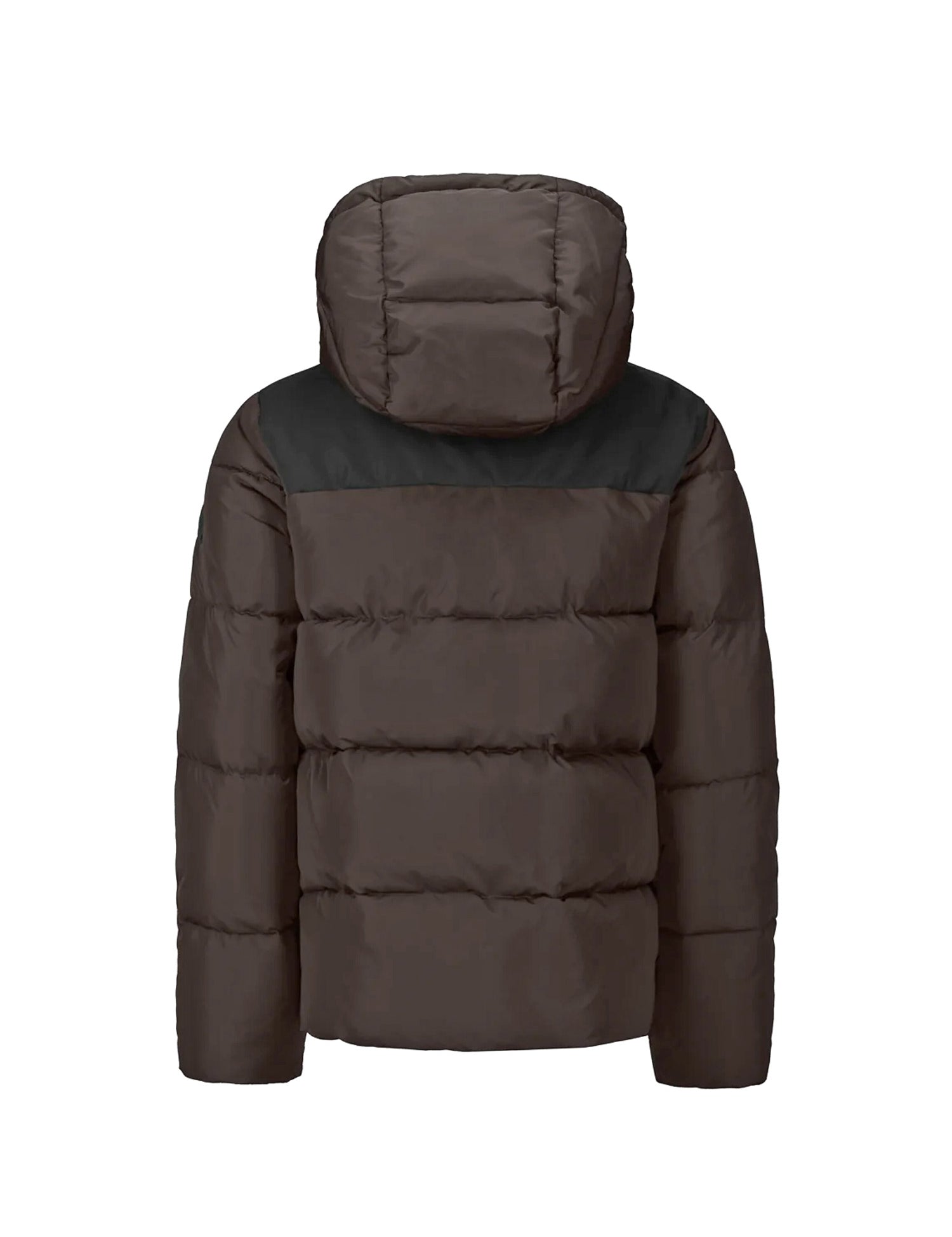 Piumini Marrone Invicta