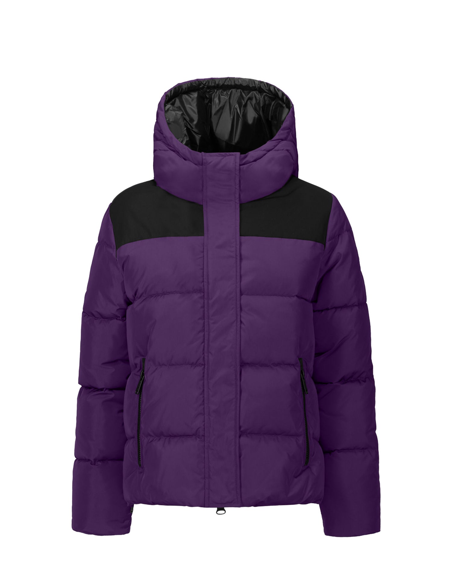 Piumini Viola Invicta