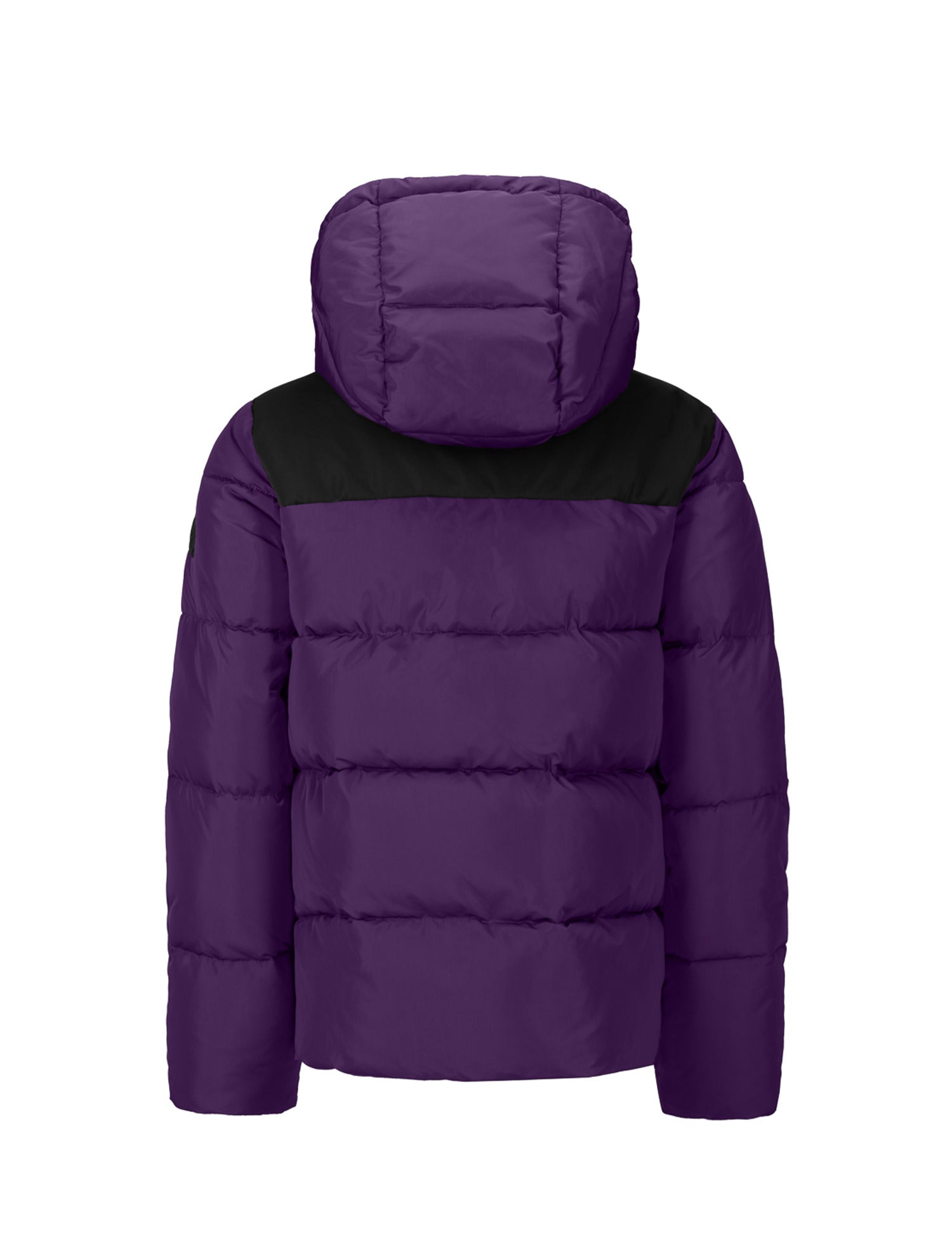 Piumini Viola Invicta