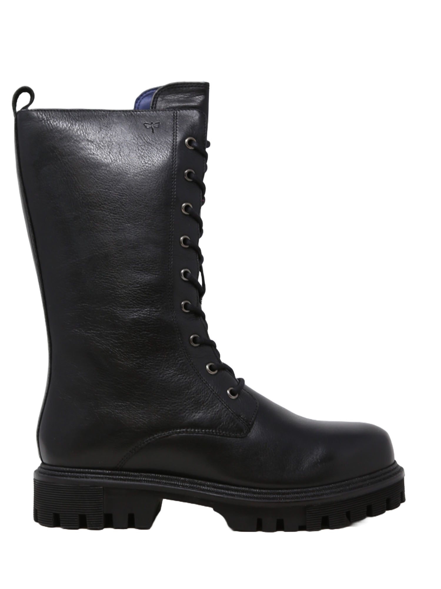 Anfibi Nero Pregunta