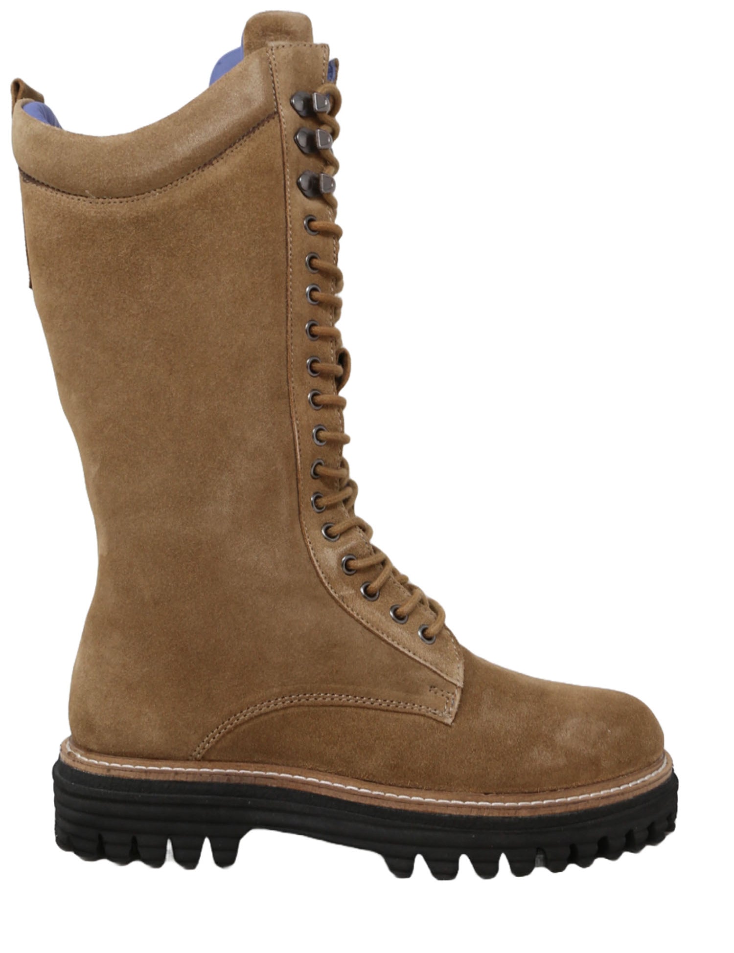 Anfibi Marrone Pregunta