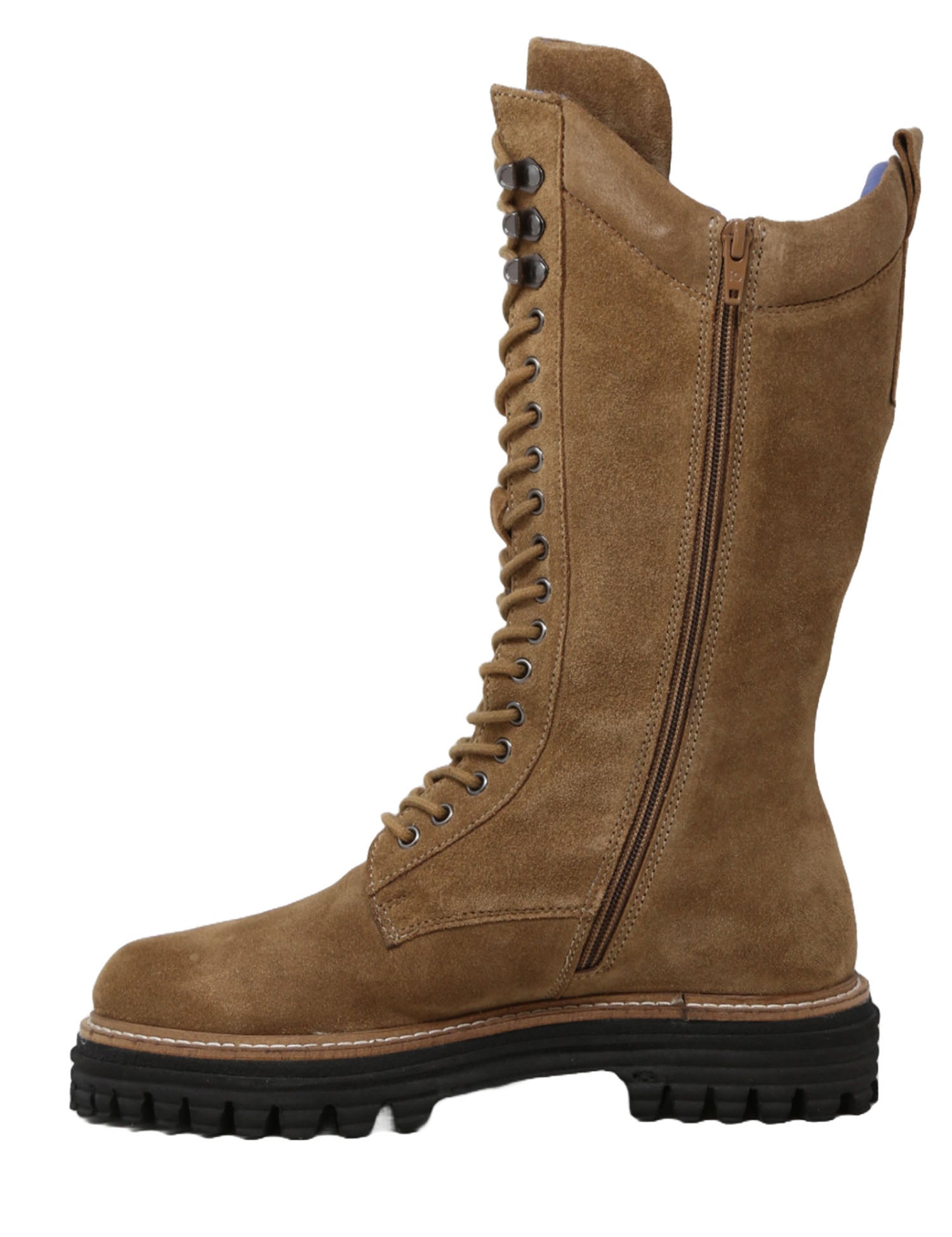 Anfibi Marrone Pregunta