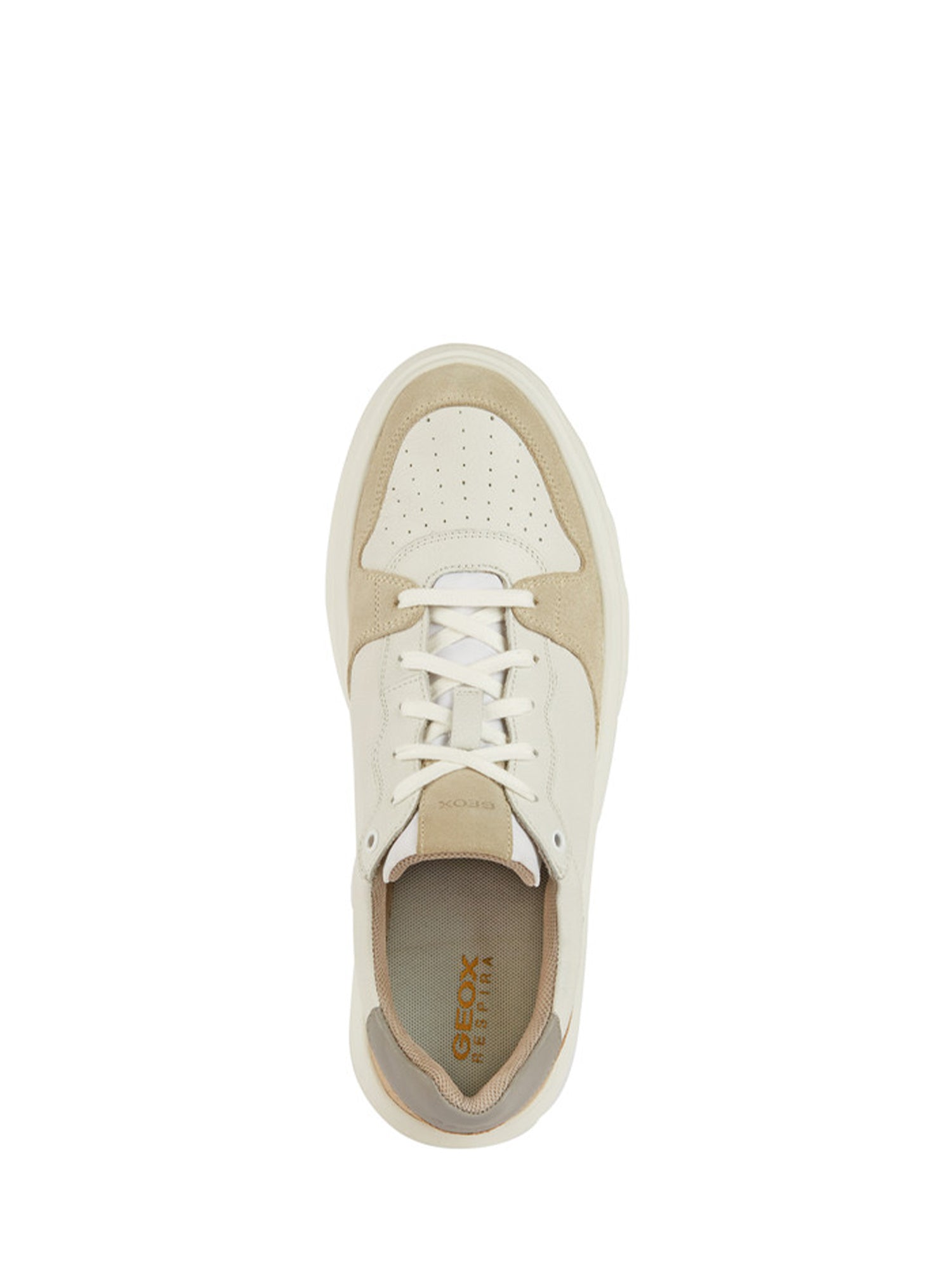 Sneakers Beige Geox