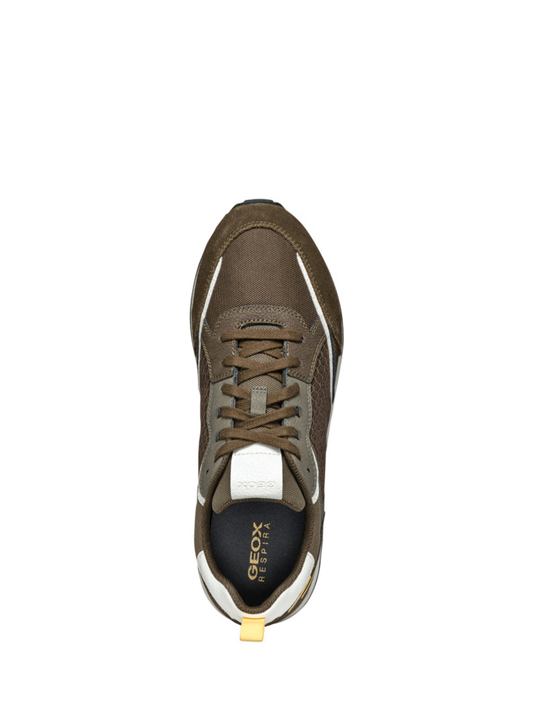 Sneakers Marrone Geox