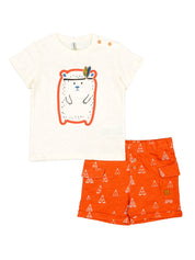 Completi Multicolore Losan