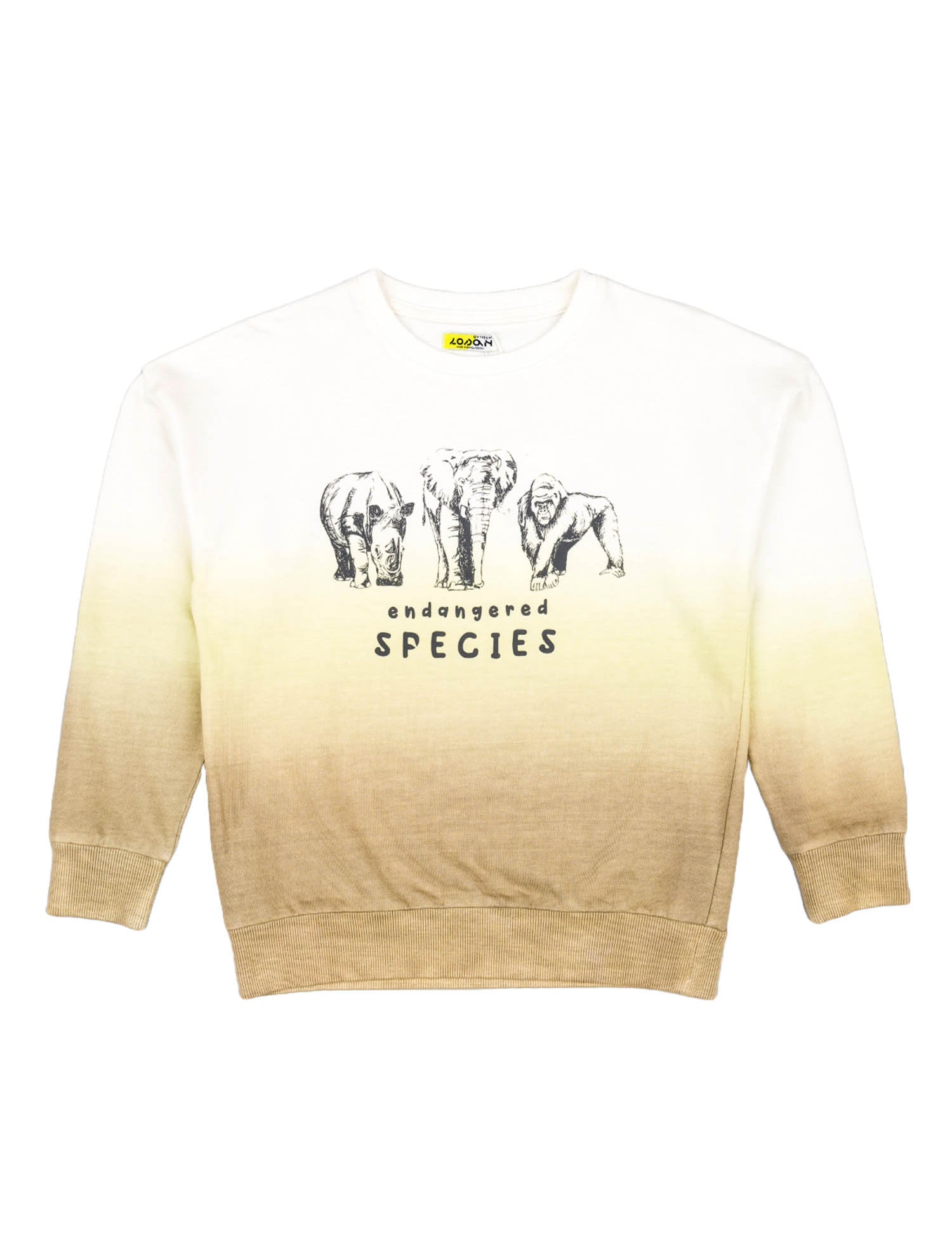 Felpe Multicolore Losan