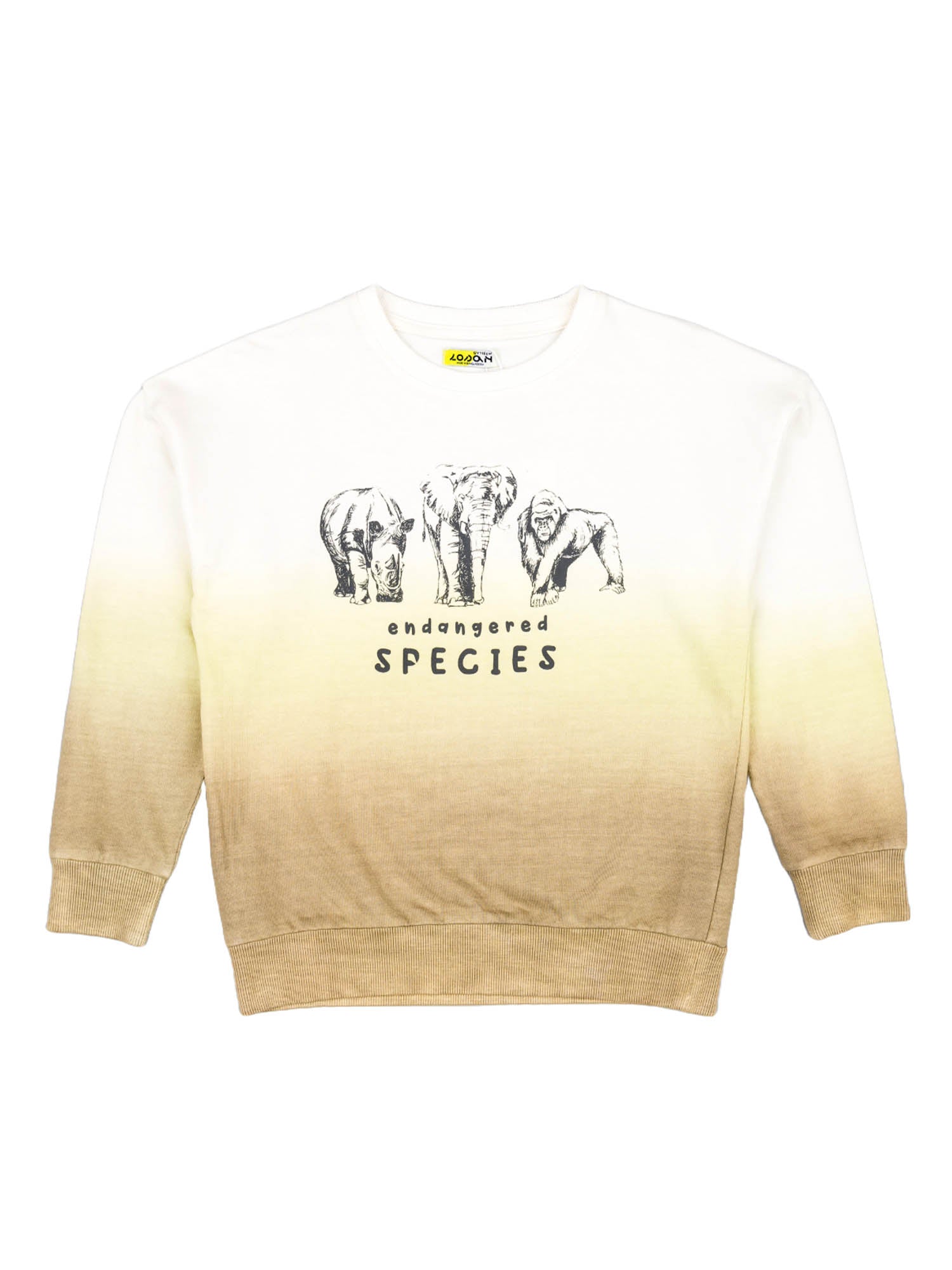 Felpe Multicolore Losan