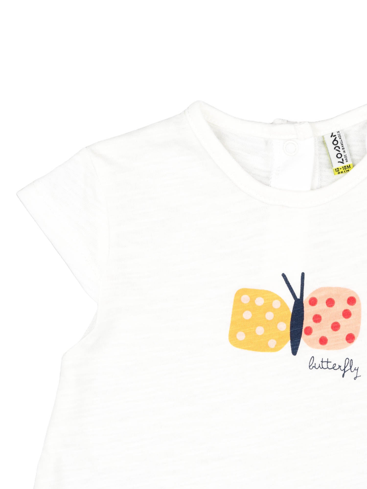 Completi Multicolore Losan