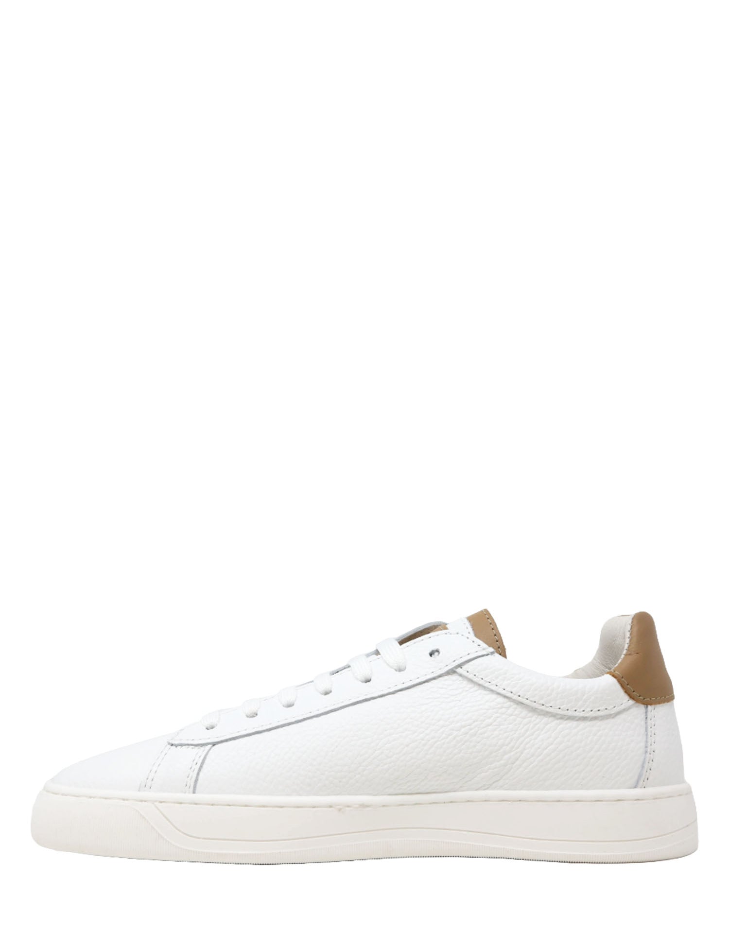 Sneakers Cammello Hornet By Botticelli