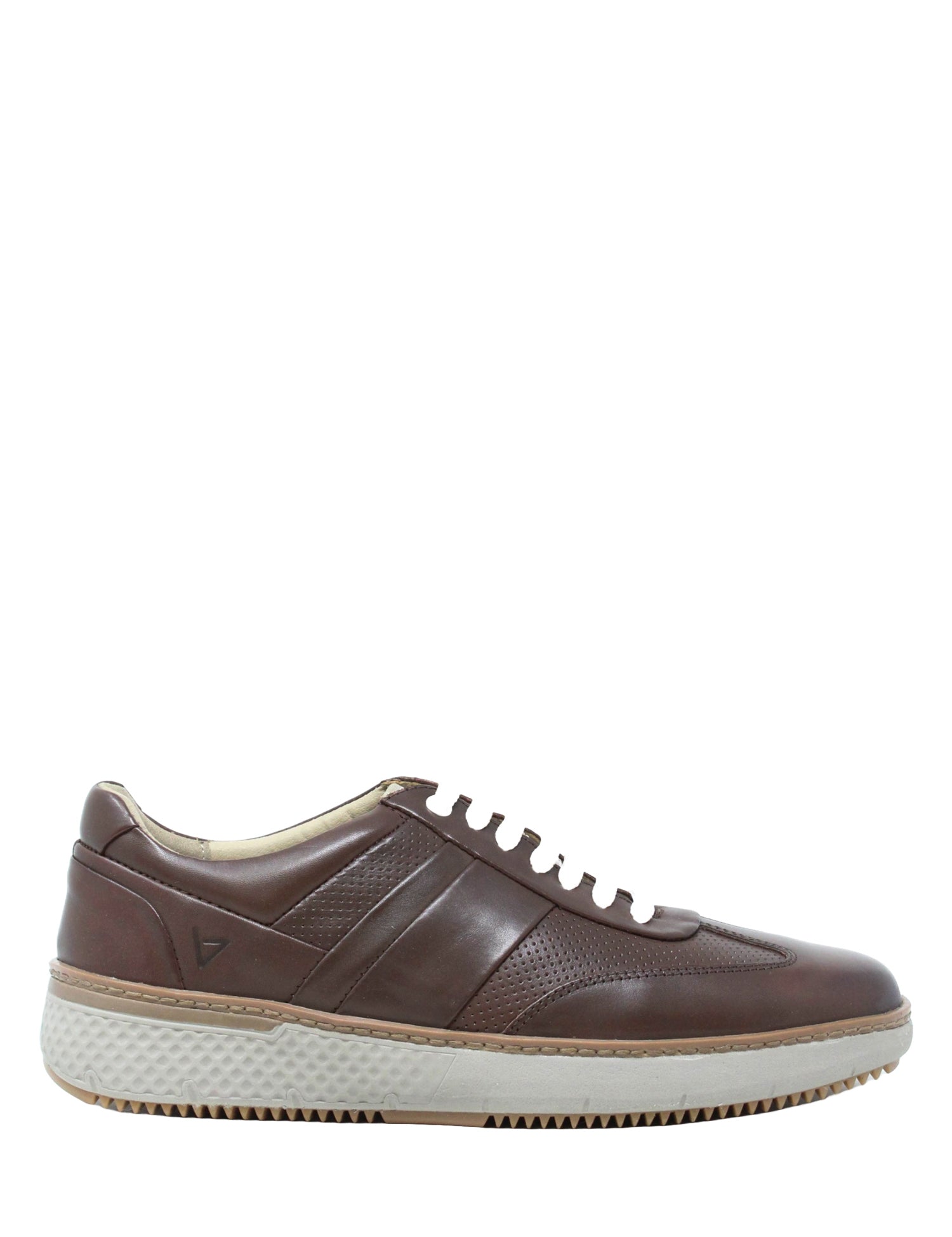 Sneakers Marrone Valleverde