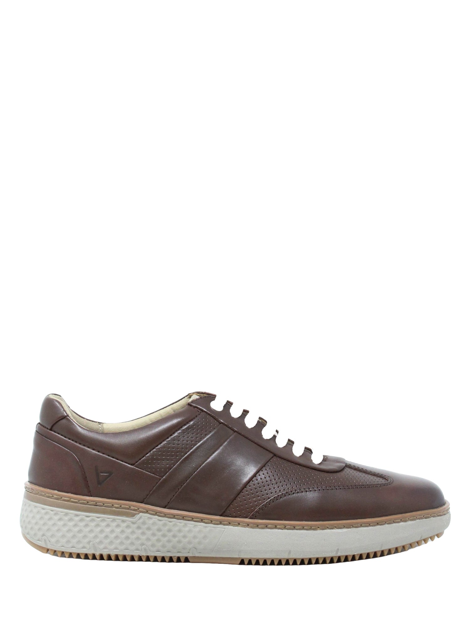 Sneakers Marrone Valleverde